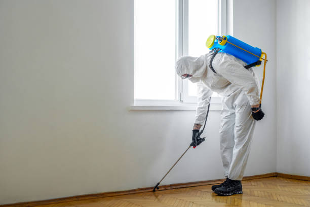 Emergency Pest Control in Valparaiso, IN